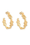 Hera Gold Hoops