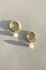 Paloma Huggies Gold